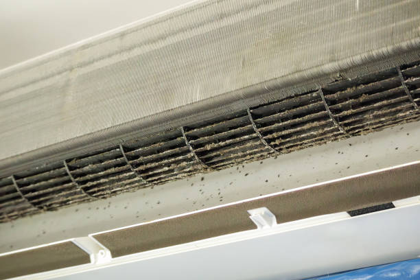Best Affordable HVAC Duct Cleaning  in Central, TN